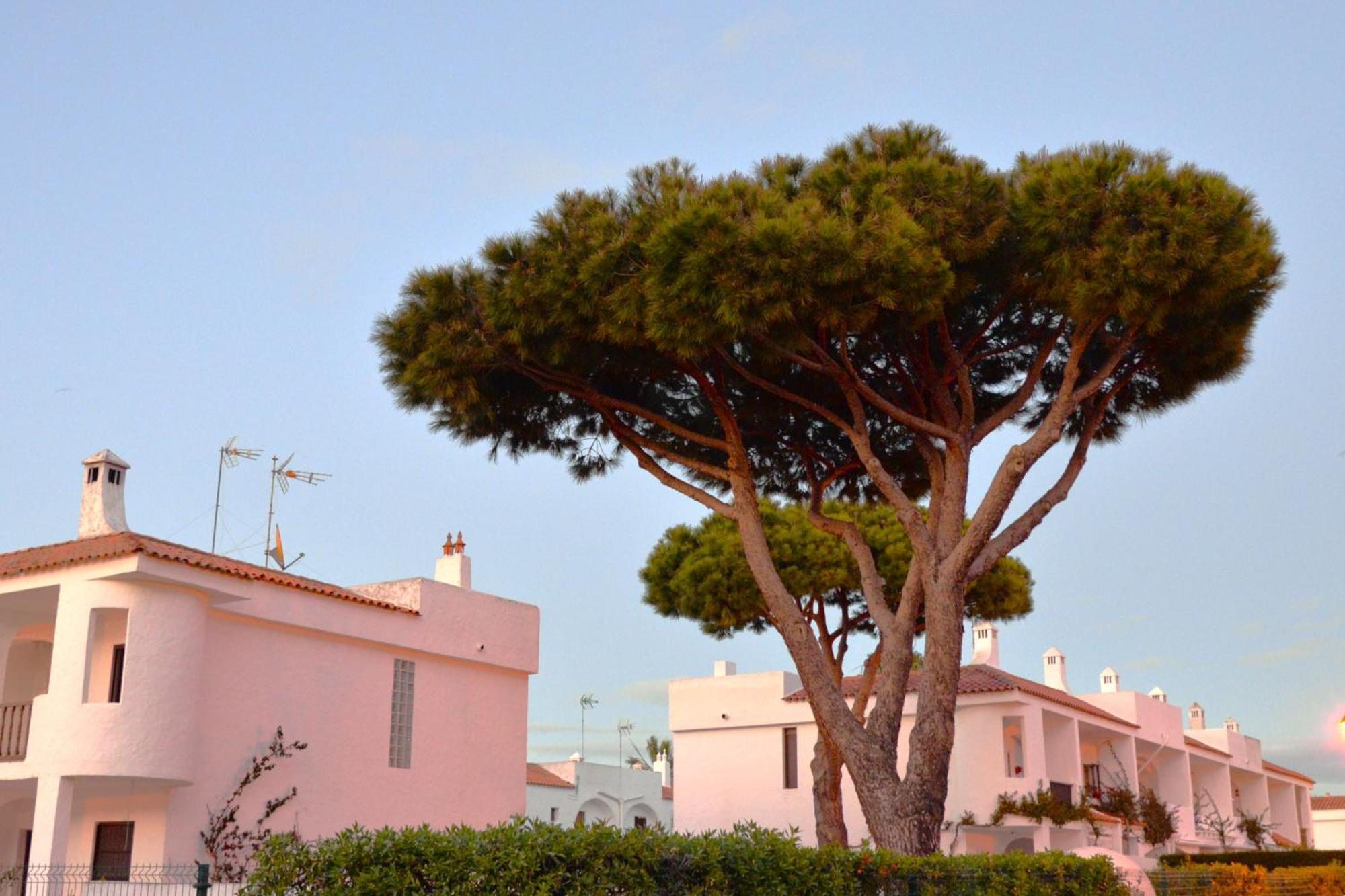 Casa Lea Βίλα Islantilla Εξωτερικό φωτογραφία