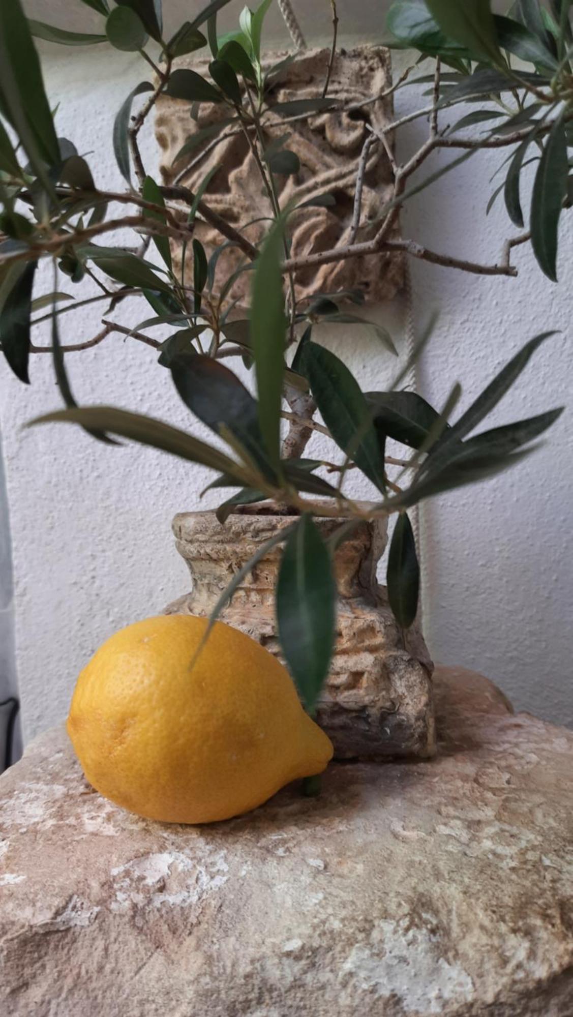 Casa Lea Βίλα Islantilla Εξωτερικό φωτογραφία
