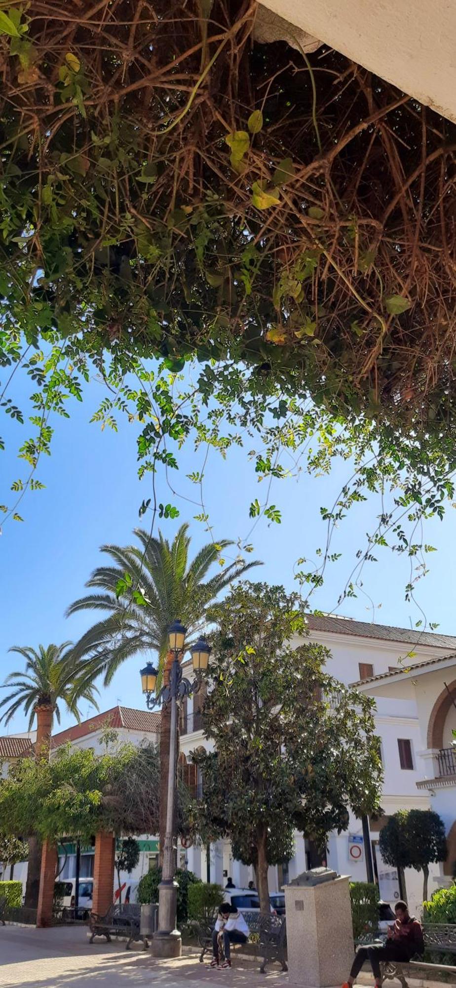 Casa Lea Βίλα Islantilla Εξωτερικό φωτογραφία